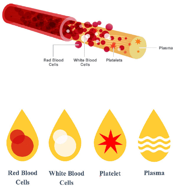 Platelet growth factor photo