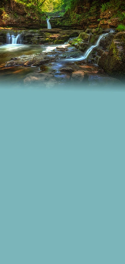 Serene forest waterfall landscape near Blue Bell Dermatology & Aesthetic Skin Care clinic in Blue Bell , Pennsylvania. Premier Dermatologist Near Blue Bell Banner